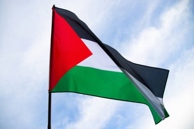 Palestine national flag waving in the wind. International relations concept.