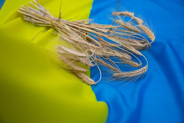Grain harvest, ukrainian flag, ears of wheat, rye, oats. Symbol of export from Ukraine to other countries to avoid the global food crisis