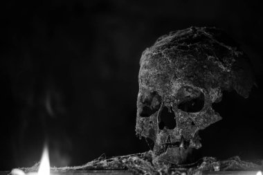 Gizemli, sisli ışıkta gerçek bir insan kafatası. Cadılar Bayramı için korkunç duvar kâğıdı..