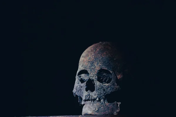 真正的人类头骨在神秘的雾蒙蒙的光线中可怕的万圣节壁纸 — 图库照片