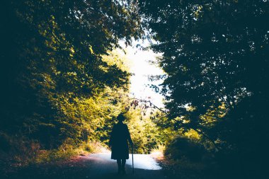 Mysterious man with hat and a walking stick walking through a fairytale forest