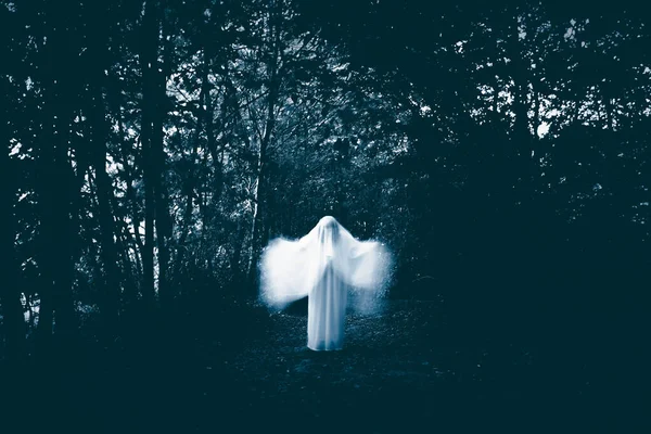 Horror Background Ghostly Figure Enchanted Forest Halloween Concept — Stock Fotó