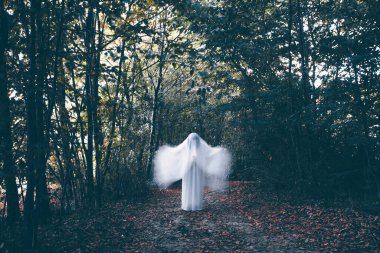 Horror background of a ghostly figure in enchanted a forest. Halloween concept