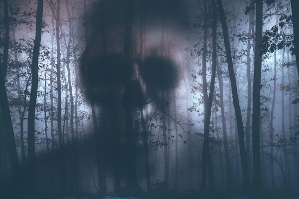 Fond Horreur Une Figure Fantomatique Dans Une Forêt Enchantée Par — Photo