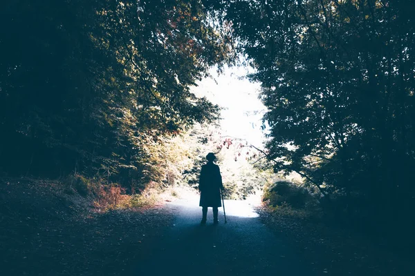 Mysterious Man Hat Walking Stick Walking Fairytale Forest — Fotografia de Stock