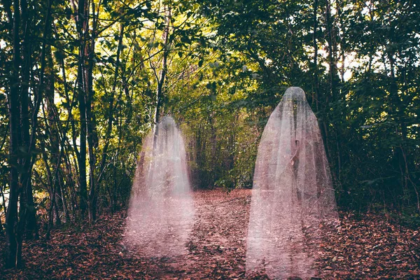 Horror Background Ghostly Figure Enchanted Forest Halloween Concept —  Fotos de Stock