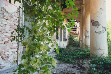 Old house with a terrace surrounded by greenery. Dark dirty grunge and creepy atmosphere