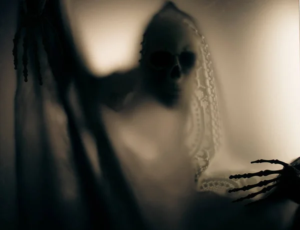 Horror Skeleton Grim Reaper Matte Glass Halloween Festival Concept Blurred — ストック写真