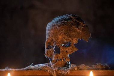 Gizemli, sisli ışıkta gerçek bir insan kafatası. Cadılar Bayramı için korkunç duvar kâğıdı..