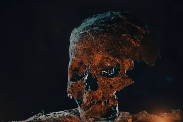 神秘的で霧の多い光の中で本物の人間の頭蓋骨 不気味な ハロウィンのためのホラー壁紙 — ストック写真
