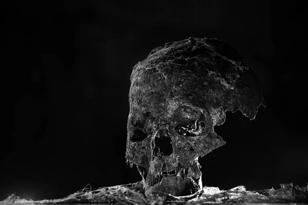 神秘的で霧の多い光の中で本物の人間の頭蓋骨 不気味な ハロウィンのためのホラー壁紙 — ストック写真