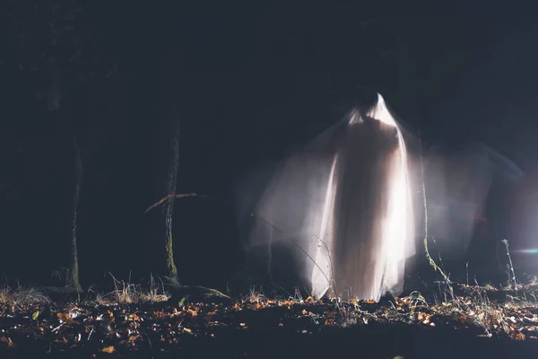 Horror Background Ghostly Figure Enchanted Forest Halloween Concept — Fotografia de Stock