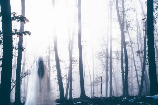 Skräck Bakgrund Spöklik Figur Förtrollade Skog Lynnig Dimmig Natt Halloween — Stockfoto