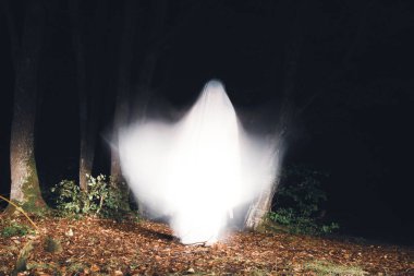 Horror background of a ghostly figure in enchanted a forest. Halloween concept
