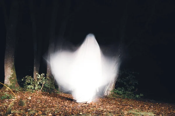 Horror Background Ghostly Figure Enchanted Forest Halloween Concept — Fotografia de Stock