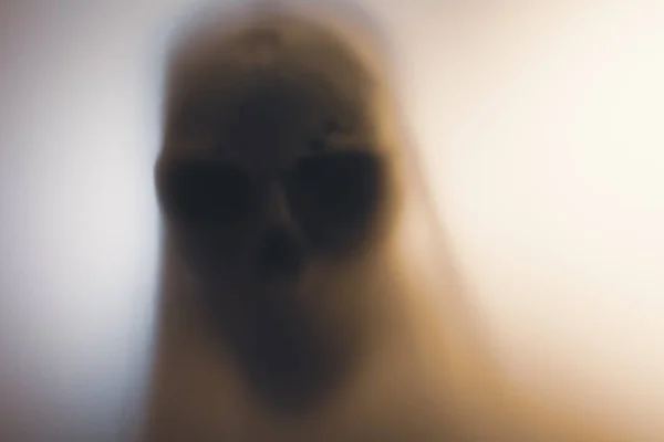 Horror Skeleton Grim Reaper Matte Glass Halloween Festival Concept Blurred — Foto Stock