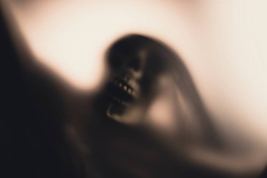 Horror skeleton or grim reaper behind the matte glass. Halloween festival concept.Blurred picture