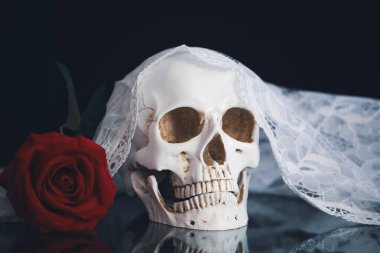 Gelin duvağı ve kırmızı güllü bir kafatası. Calavera Catrina. Dia de los muertos. Ölülerin Günü. 