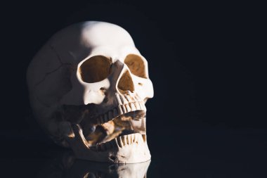 Cadılar Bayramı için ürkütücü kafatası. Korku duvar kâğıdı.