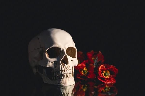 Skull with red poppy flowers. Calavera Catrina. Dia de los muertos. Day of The Dead.