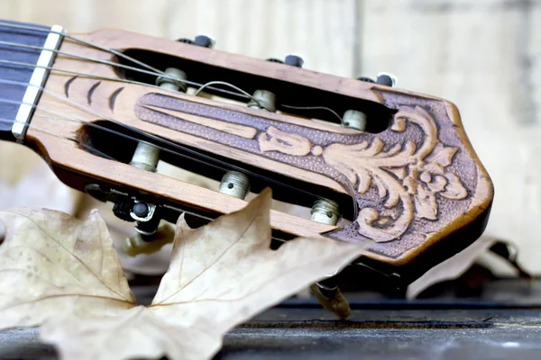 Klasik Gitar