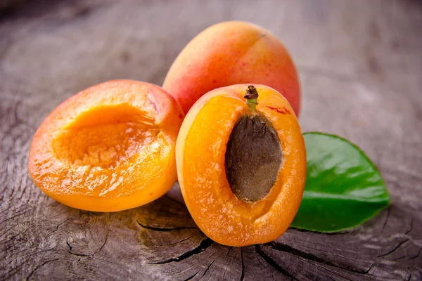 Vers geoogste abrikozen — Stockfoto