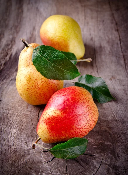 Harvested pears — Stock Photo, Image