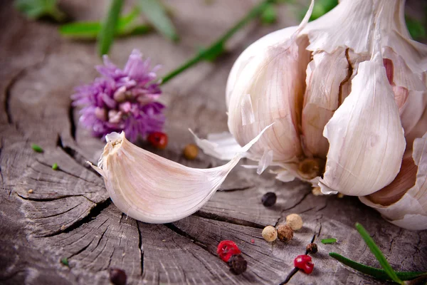 Ervas aromáticas e especiarias frescas — Fotografia de Stock