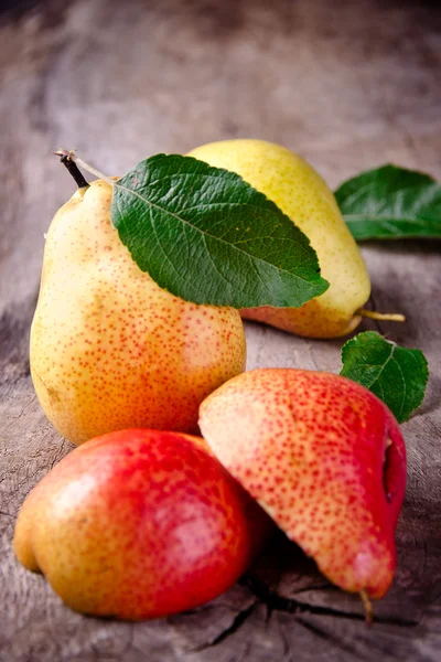 Harvested pears — Stock Photo, Image