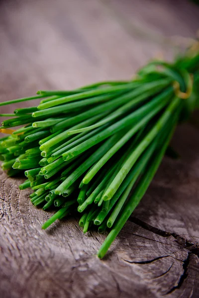 Fresh parsley — Stock Photo, Image