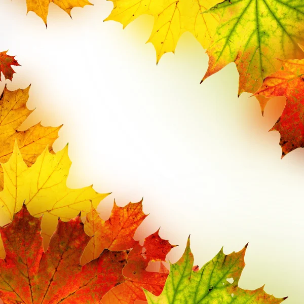 Autumn background — Stock Photo, Image