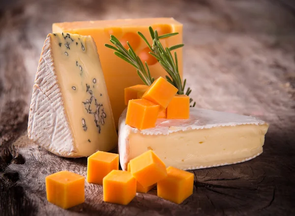 다양 한 종류의 치즈 — 스톡 사진