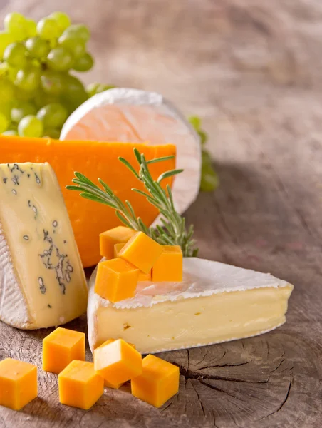 Various types of cheese — Stock Photo, Image