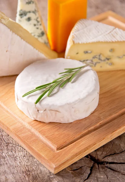 Various types of cheese — Stock Photo, Image