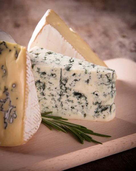 Çeşitli peynir türleri — Stok fotoğraf