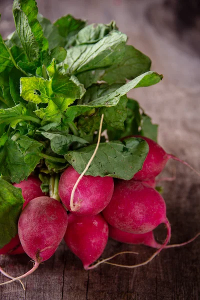 Bunch of fresh radishes — Stock Photo, Image