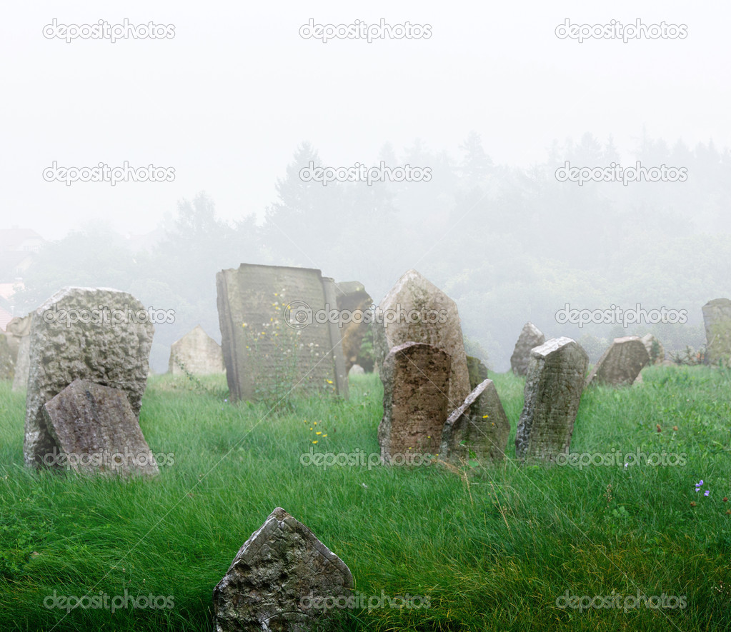 Cemetery with a fog