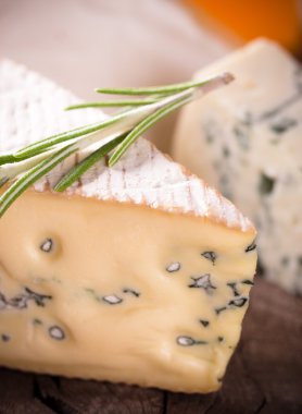 çeşitli peynir türleri