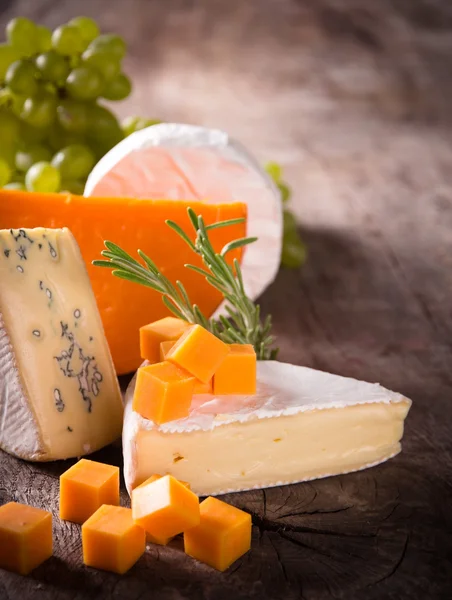 Various types of cheese — Stock Photo, Image