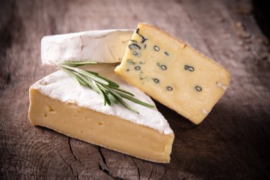 çeşitli peynir türleri