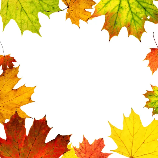 Autumn background — Stock Photo, Image