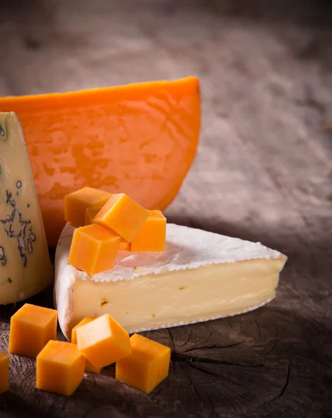 Various types of cheese — Stock Photo, Image