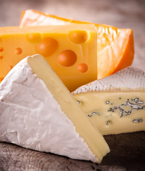 Verschillende soorten kaas — Stockfoto