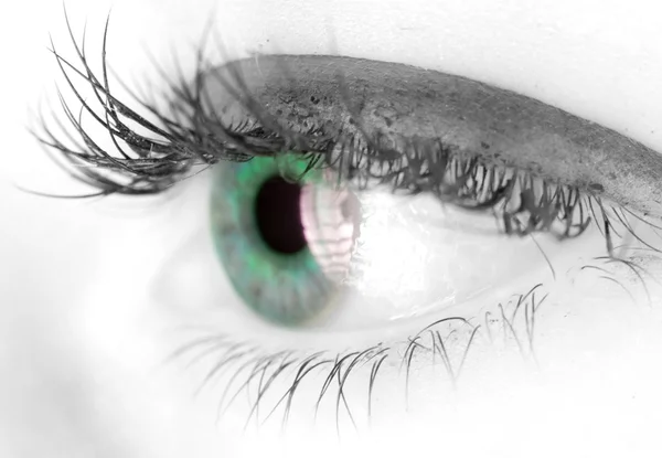 Eye of Woman — Stock Photo, Image