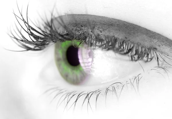 Beautiful Eye — Stock Photo, Image