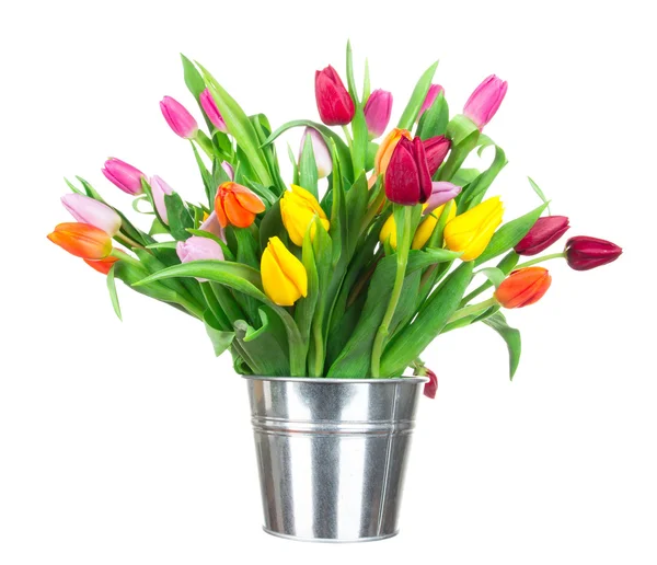 Beautiful tulips bouquet — Stock Photo, Image