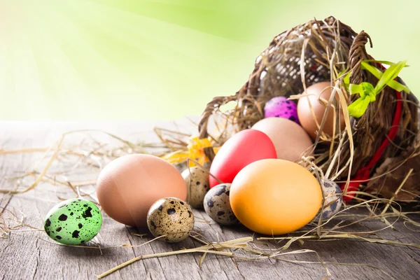 Colorful easter eggs — Stock Photo, Image