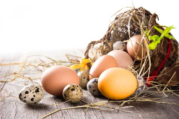 Colorful easter eggs — Stock Photo, Image