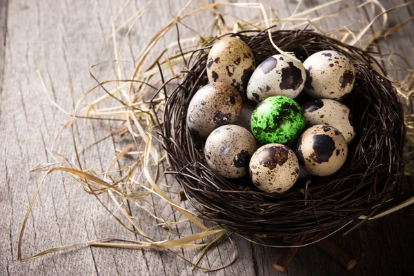 Coloridos huevos de Pascua — Foto de Stock