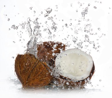 cracked coconut clipart